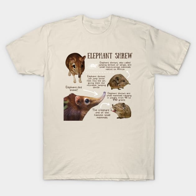 Animal Facts - Elephant Shrew T-Shirt by Animal Facts and Trivias